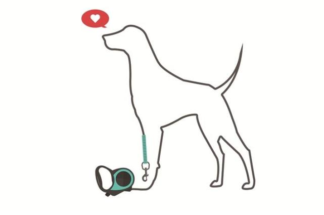 晶报社论丨遛狗不牵绳?你违法了!