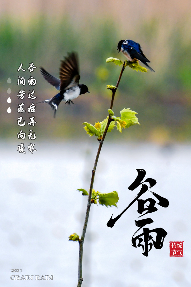 报节气雨生百谷