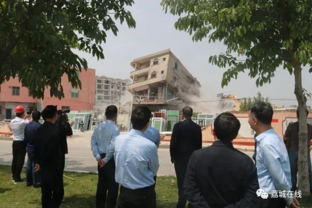 区领导调研全域土地综合整治试点项目