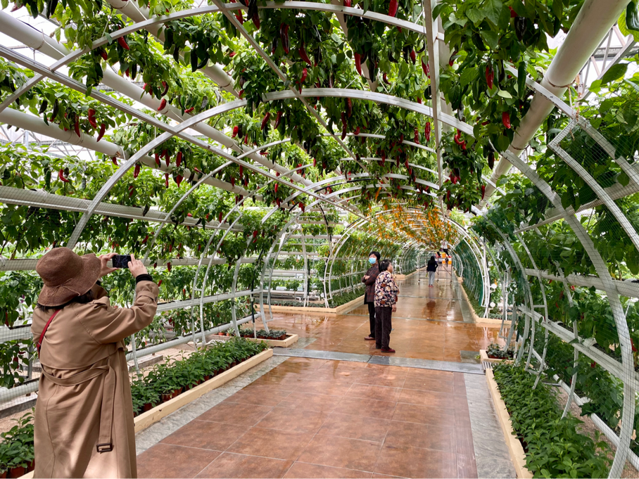 4月20日上午,第22届中国(寿光)国际蔬菜科技博览会暨2021中国(寿光)