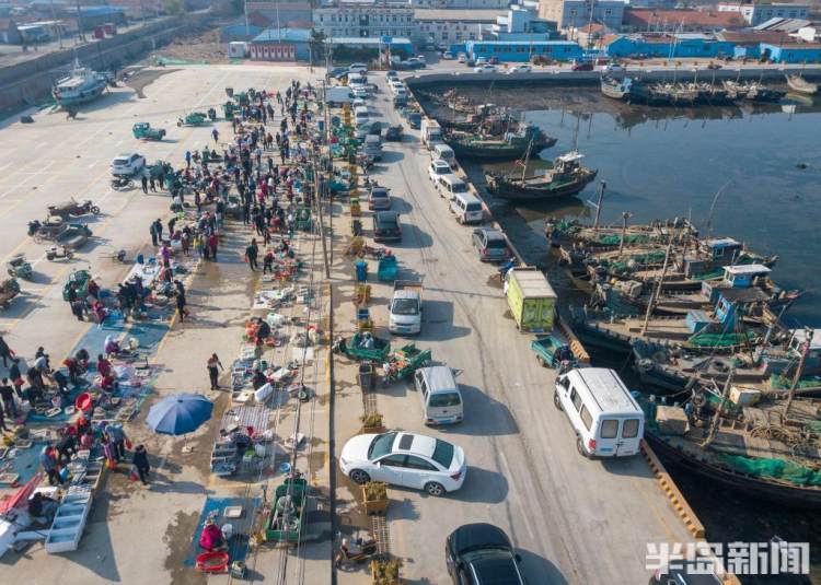 崂山区沙子口南姜码头掠影