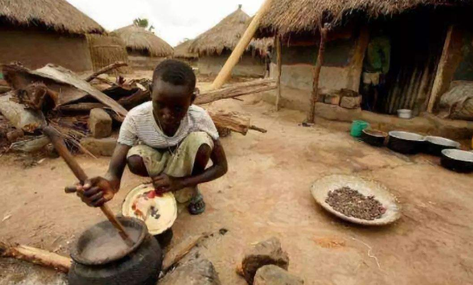 非洲人经常吃不起饭为什么不愿种地你看地上长的啥就知道了