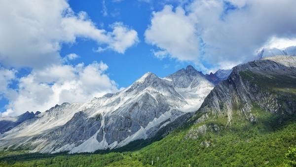 去成都是自由行好還是跟團好(去成都旅遊是跟團好還是自由行)