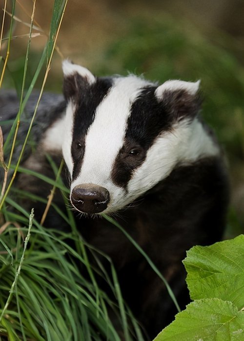民警呼吁:野生动物是我们的朋友,保护野生动物是我们每个人应尽的责任