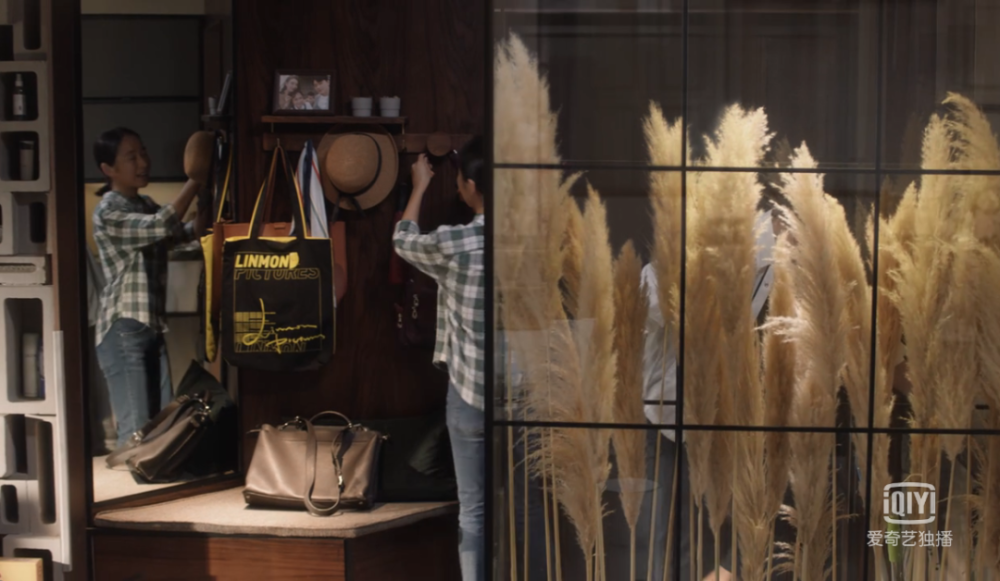 小舍得蒋欣当妈被骂上热搜但我竟被剧中的家吸粉了