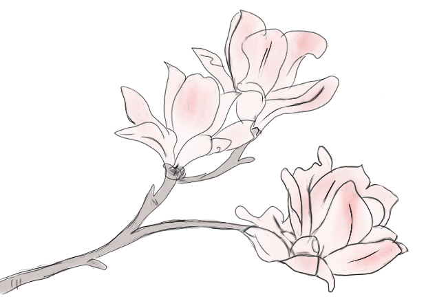 五一怎么玩 不需要滤镜的旅游胜地 玩到就是赚到 腾讯新闻