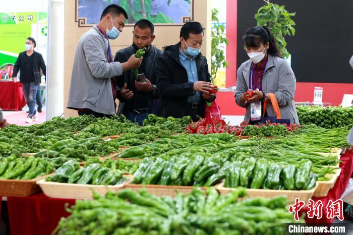 (记者 梁犇)第22届中国(寿光)国际蔬菜科技博览会暨2021中国(寿光)