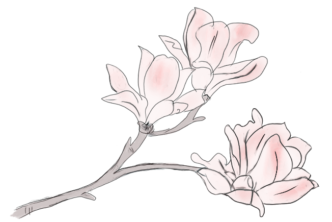 【竹窗随笔】螯蛎充口