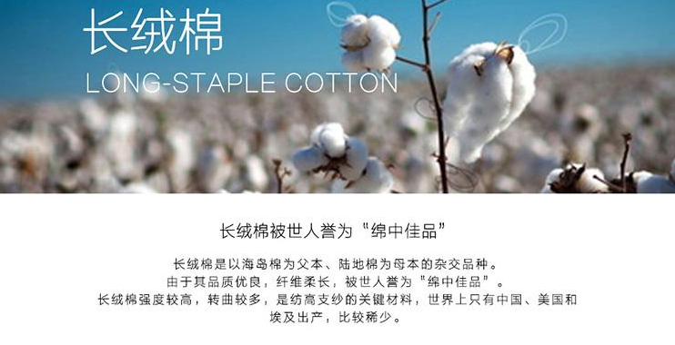 新疆棉花有什么优势