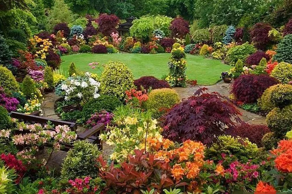 作为一个有层次的设计师你必须知道的几种彩叶植物