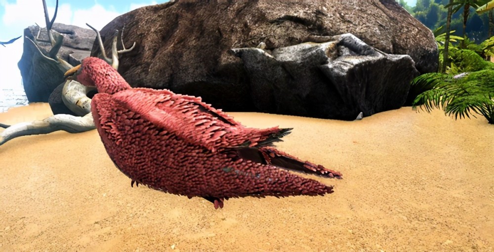 能边骑行边钓鱼,《方舟生存进化》伪齿鸟受钓鱼玩家欢迎_腾讯新闻