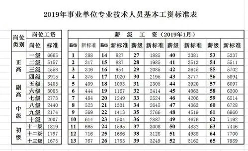 高校老师工资