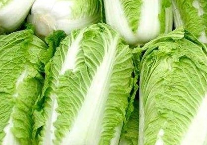 大白菜的营养价值(香菇炒大白菜的营养价值)
