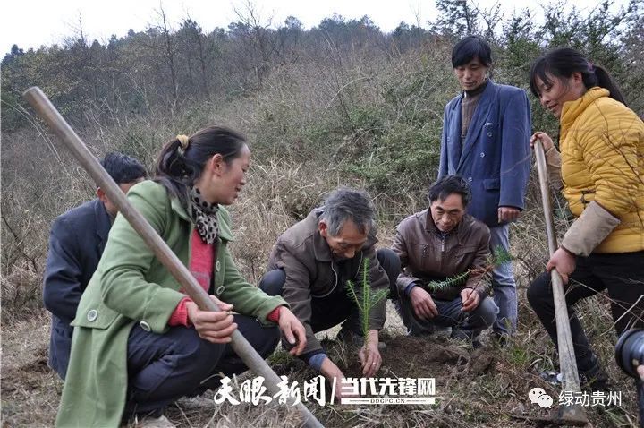 那天晚上,他翻来覆去睡不着,思索着应该做些什么,回想起那篇报道,魏发