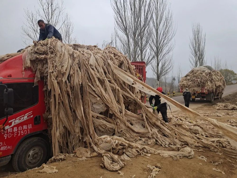 彭阳创新农用残膜回收模式成效显著