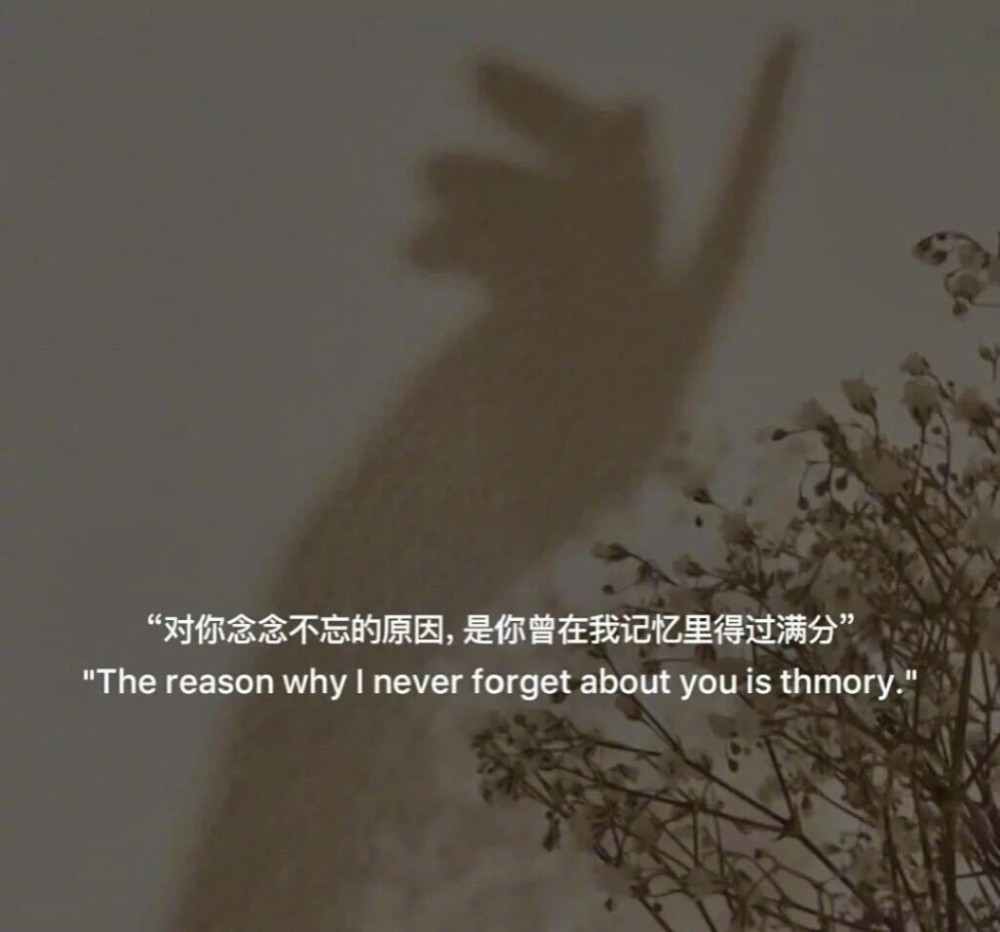 关于学生时代遗憾的文案 - 学生时代的遗憾文案50字 - 实验室设备网