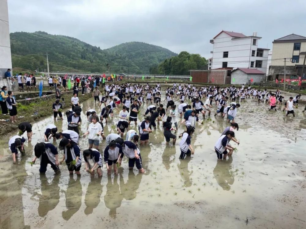 勞動實踐教育活動來到新邵白水洞研學小鎮開展邵陽市第一中學近1000名