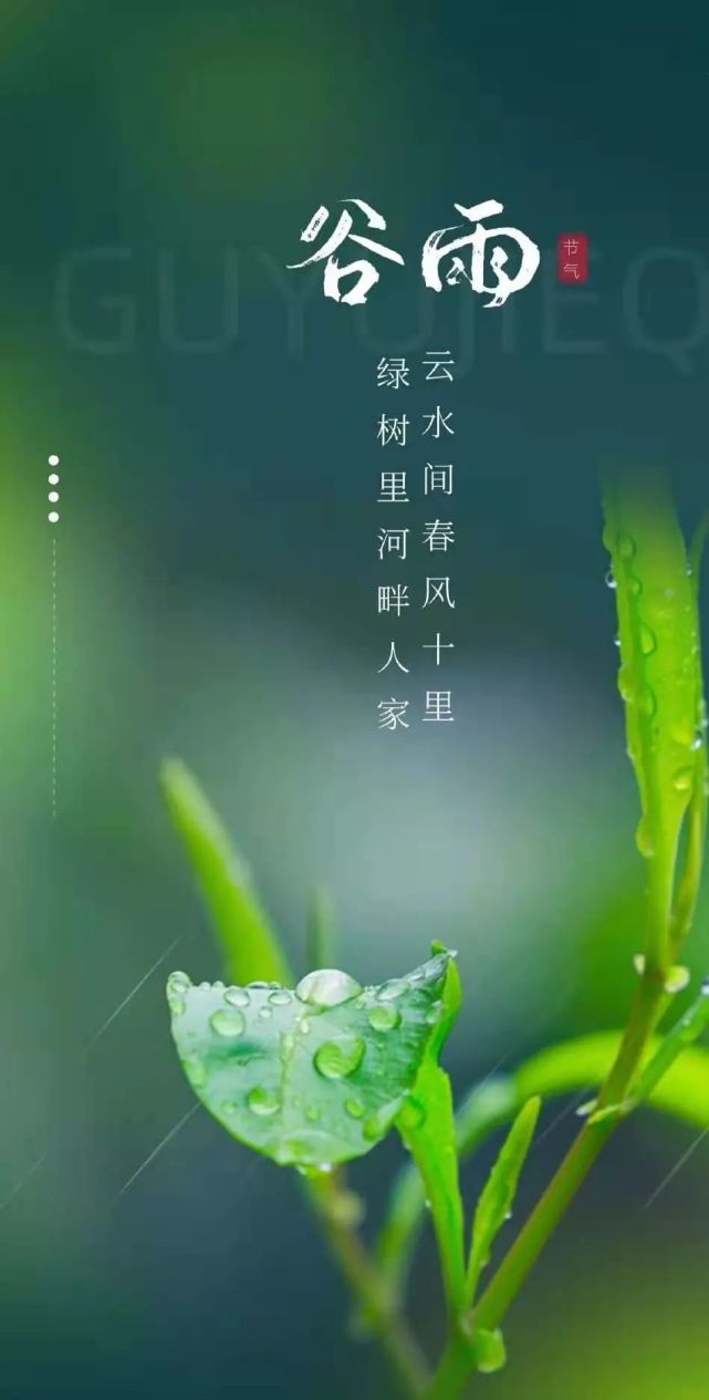 【四時八節】穀雨,抓住春天的尾巴|二十四節氣|戴勝|穀雨