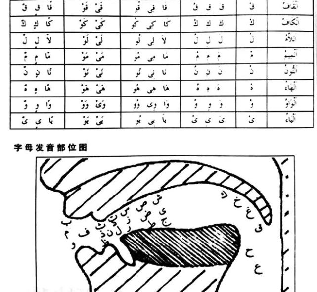 其中,阿拉伯语凭借画符式的蝌蚪文,28个字母*12种发音的三百多种复杂