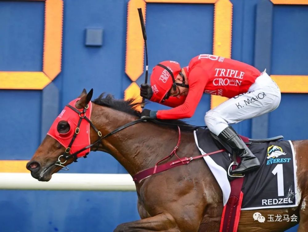 国产赛马再获认可神奇百万持续加持