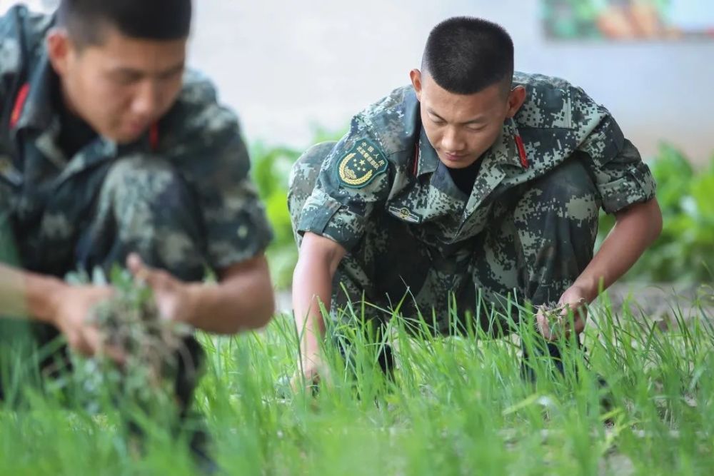 影像丨与海风为伴与盐碱同行这就是南堡盐场守卫兵的日常