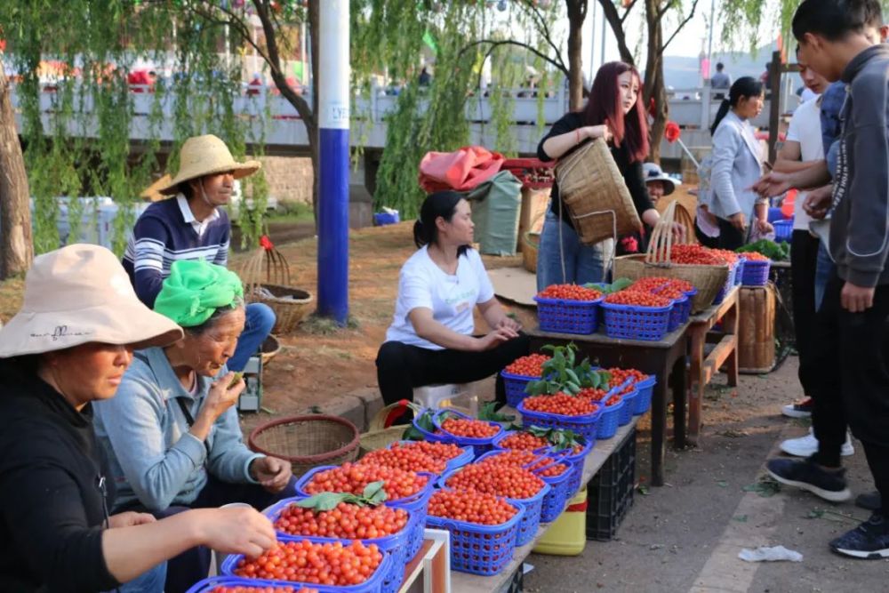 鲁甸小寨:万亩樱桃成熟采摘引领乡村旅游经济持续升温_腾讯新闻