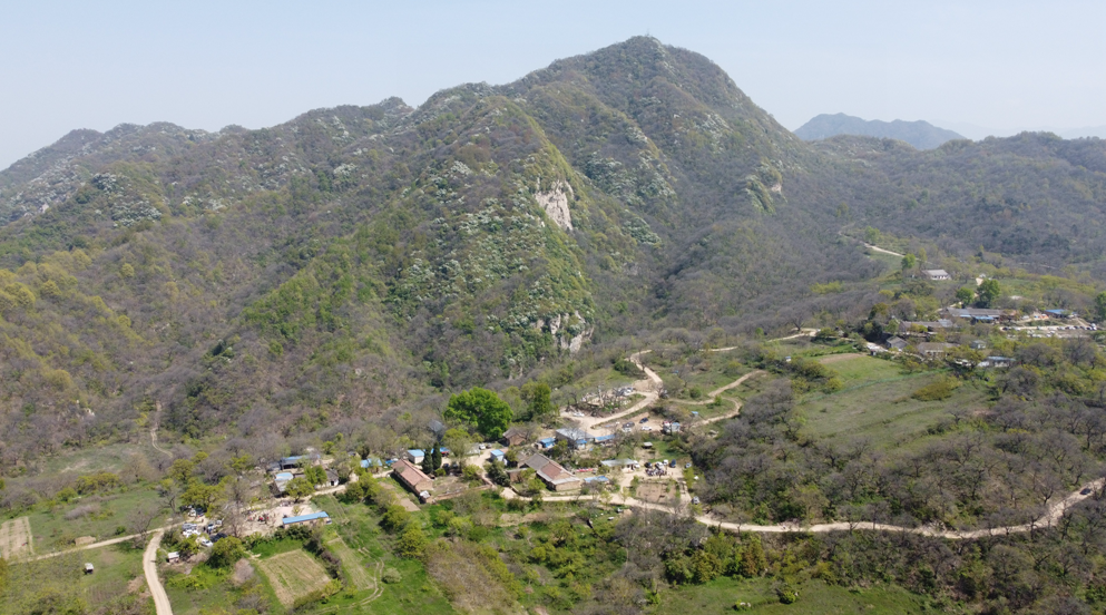 四月秦嶺熱門戶外路線,黃峪寺白鵑梅花海,漫山遍野觀賞正當時_騰訊