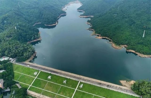 天堂之梯,绿宝石水库……福田这个城市森林秘境藏不住了!