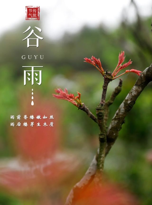 今日谷雨|美图 视频,让你知晓梁平春天有多美