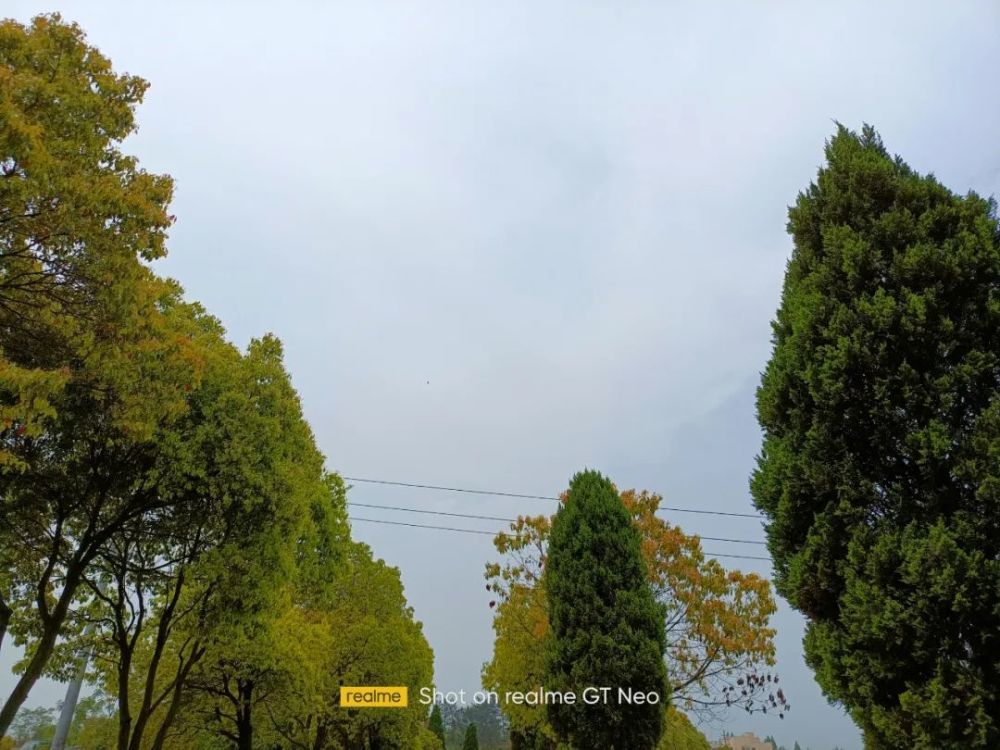 realmegtneo拍照样张