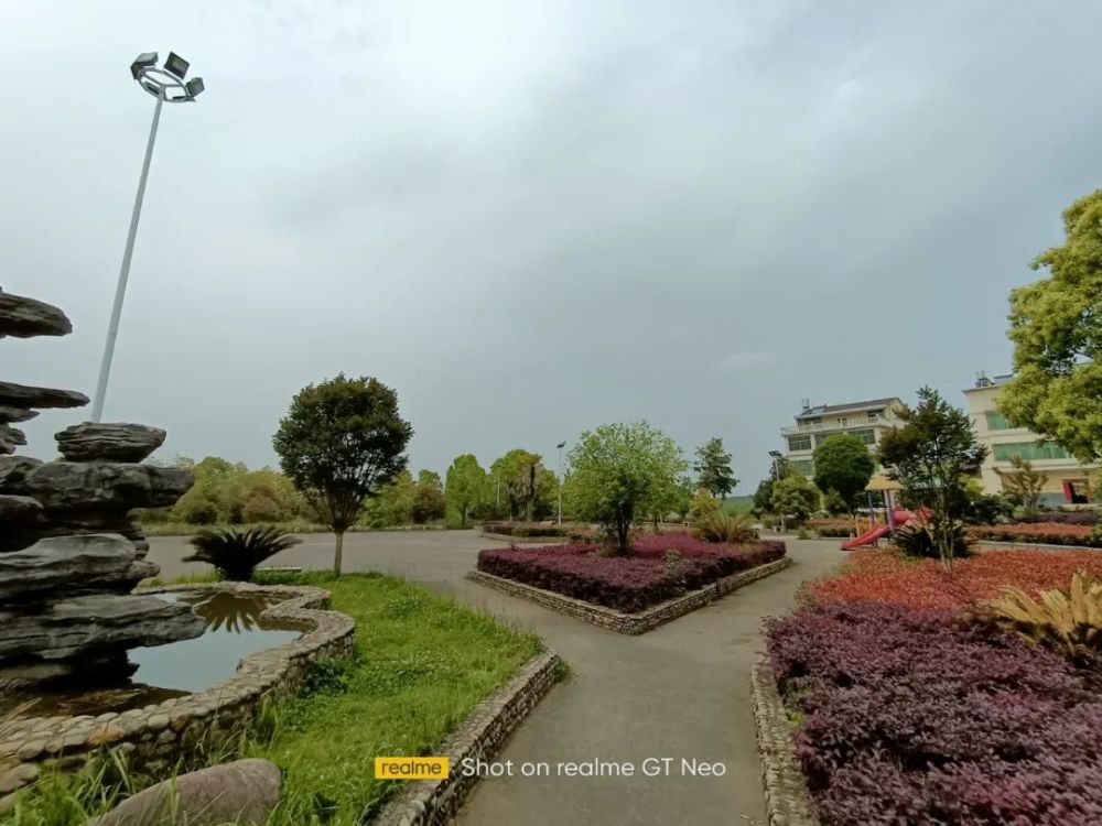 realmegtneo拍照样张