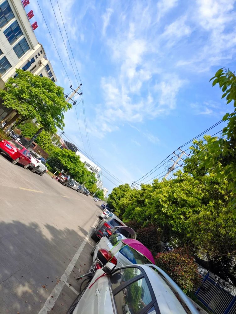 realmegtneo拍照样张