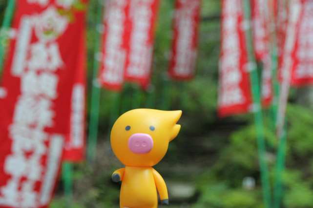 飞猪强势推66元机票盲盒抢到的网友却纷纷含泪放弃