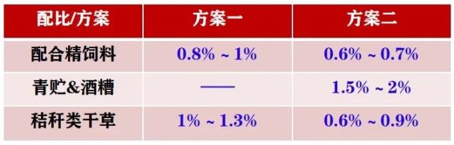 肉牛全系列饲料配方及实践饲养技术方案