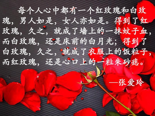 "得到了白玫瑰,久之,就成了衣服上的饭粒子,而红玫瑰,还是心口上的