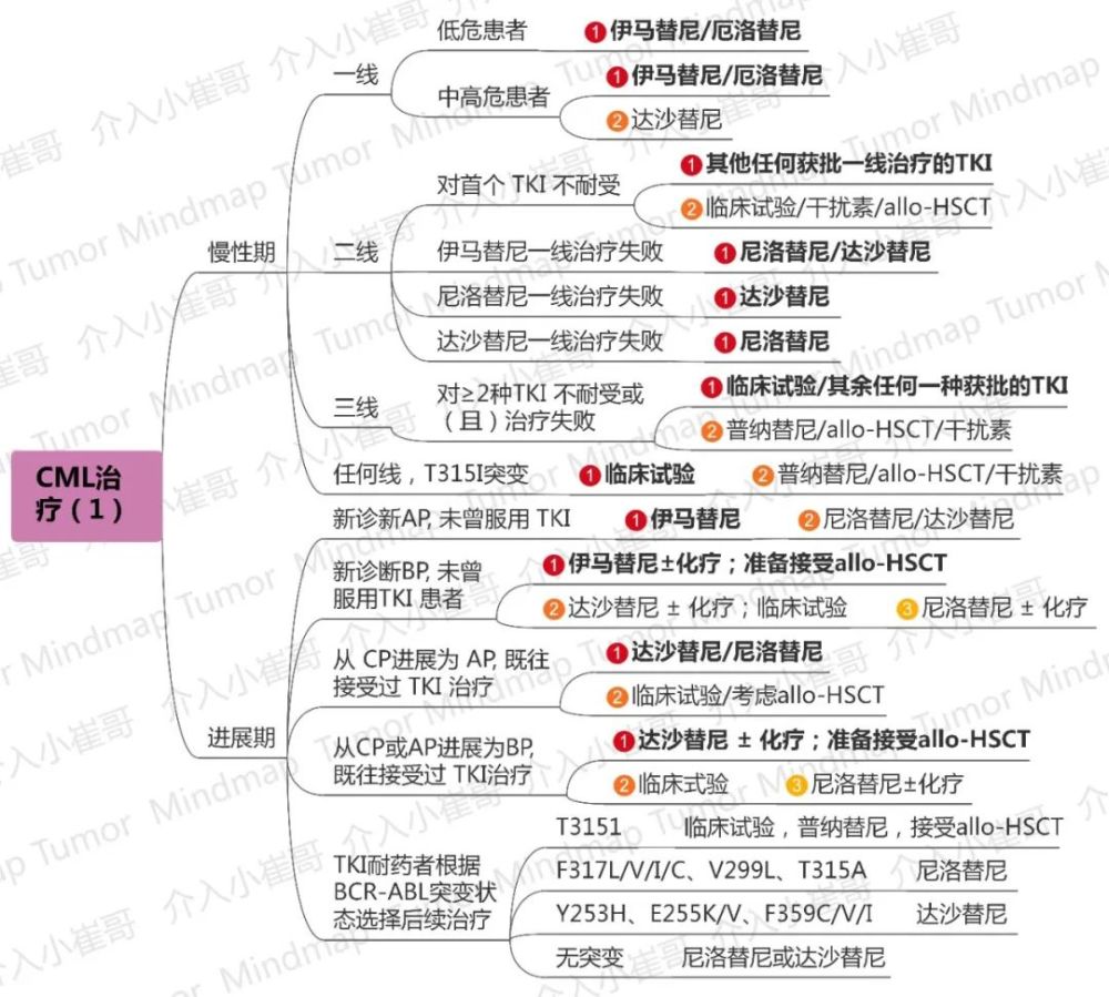 肿瘤思维导图43期|恶性血液病csco 2020诊疗指南(三)