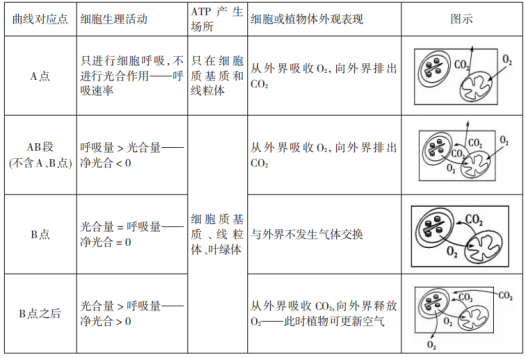 知识辨析 总光合速率 净光合速率与呼吸速率的辨析 腾讯新闻