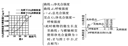 知识辨析 总光合速率 净光合速率与呼吸速率的辨析 腾讯新闻