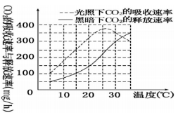 知识辨析 总光合速率 净光合速率与呼吸速率的辨析 腾讯新闻