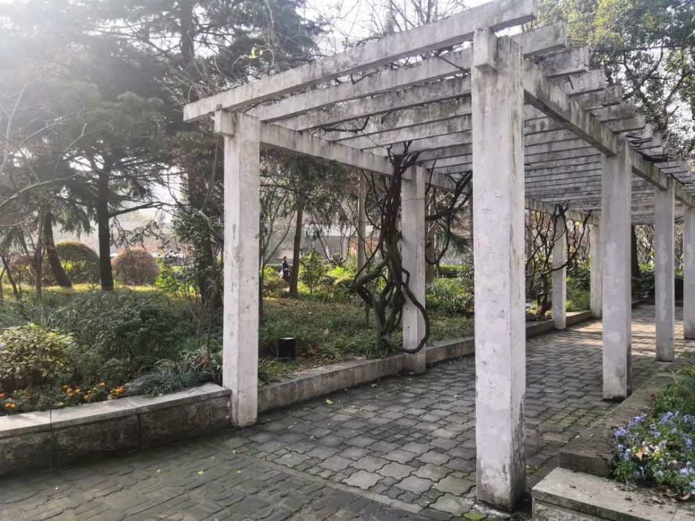 街心花园改造前(左)和改造后除了为附近的"上班族"增加了一条便捷通道