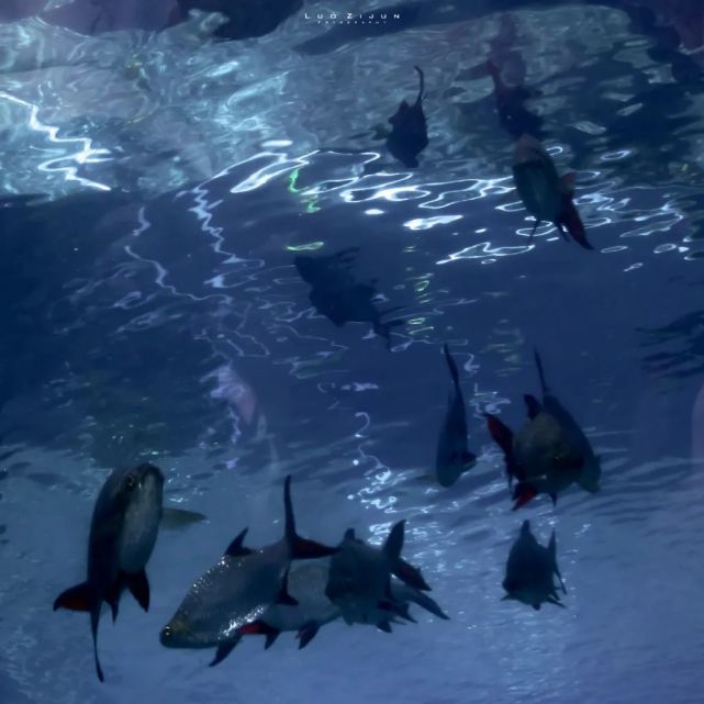 蓝色海洋系背景图片有些话我听着开心但是我不会信