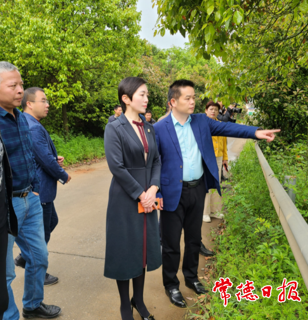 常德市领导督导生态环境问题整改时提出让绿色成为常德