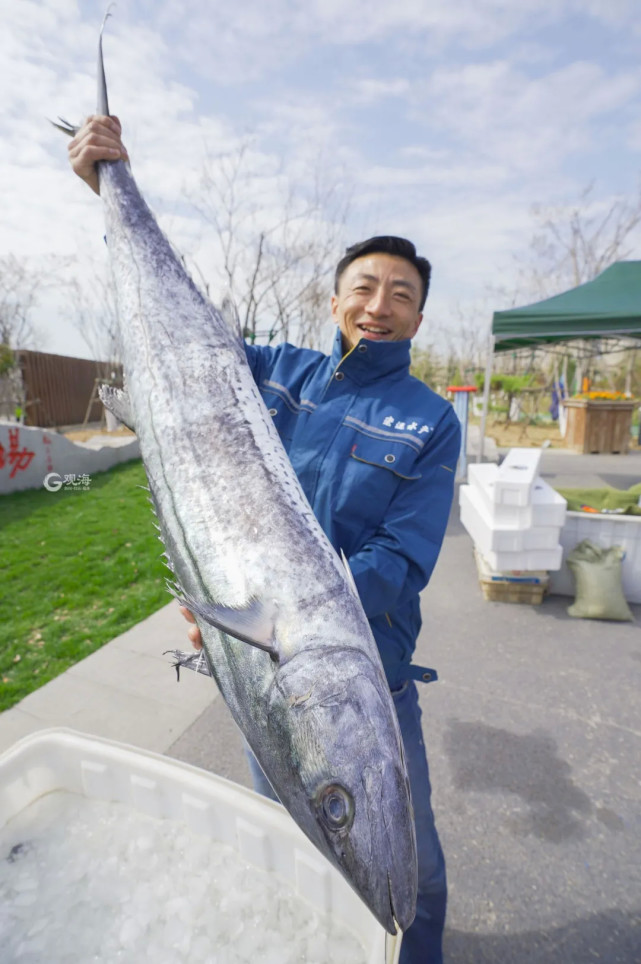 观山海风光,品鲜美海味,这些美食错过再等半年!