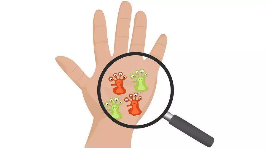 一双未洗过的手上有80万个细菌;一克指甲垢里藏有38亿个细菌;将手洗