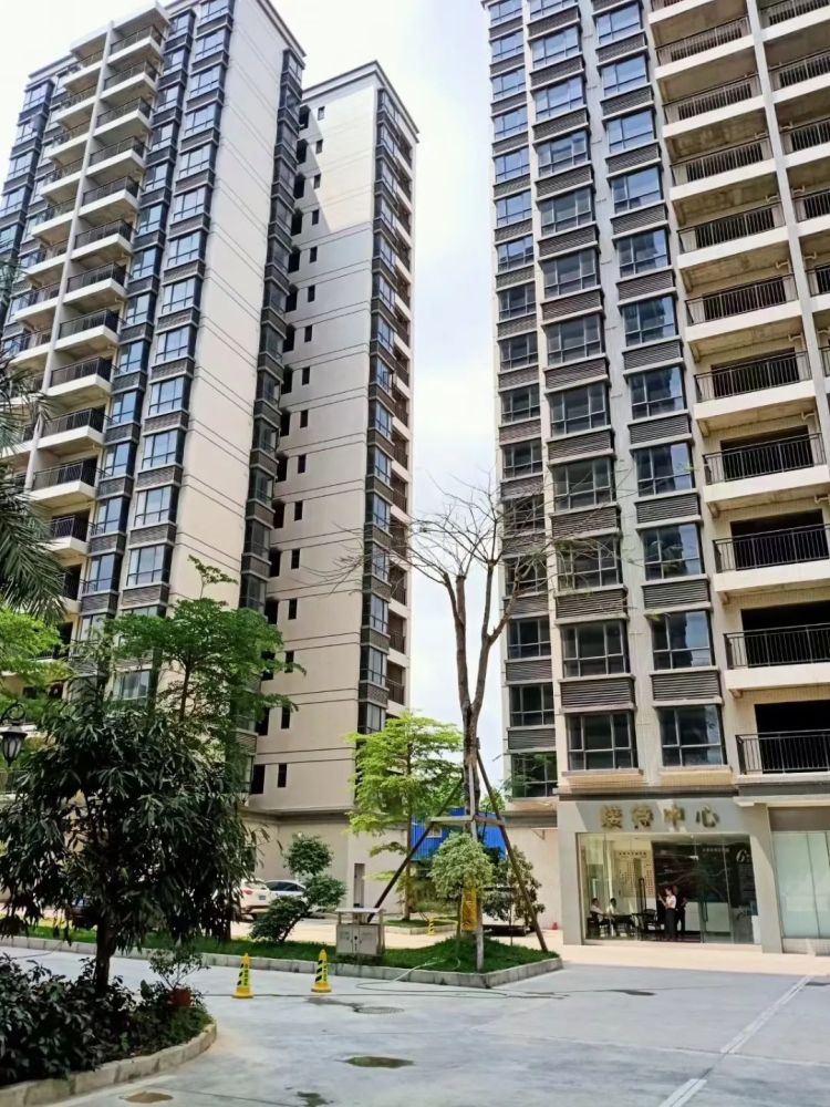 惠东8栋花园【百丽名都】特价低至2880一平起_腾讯新闻