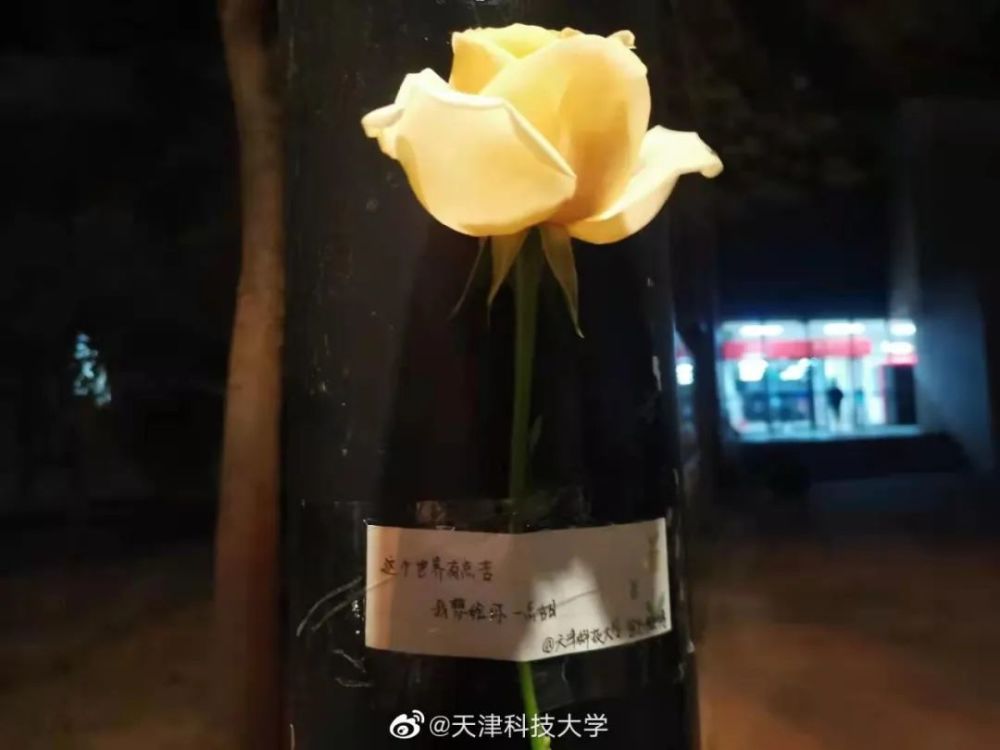 这么有爱的活动抖音里被各个城市的"应急玫瑰"刷了屏最近几天勇敢表白