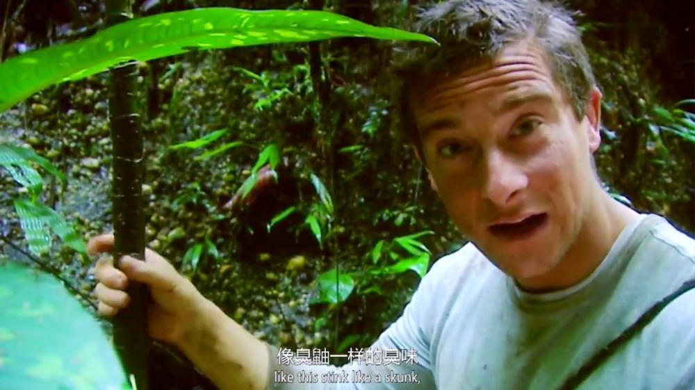 作为退役特种兵的贝爷,身体素质方面肯定要超过常人,但他在每一期视频