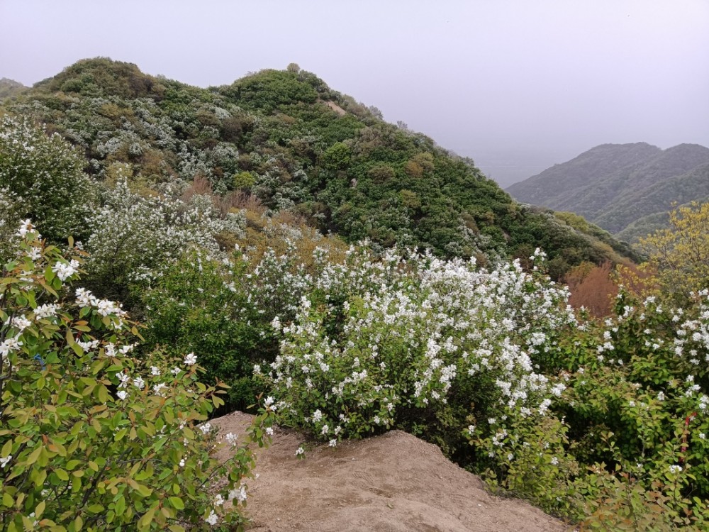 秦嶺裡又一條賞景的山脊線順山而下峭壁上遇見終南山第一大佛