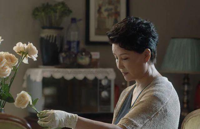 小舍得热播中年婚姻全凭良心