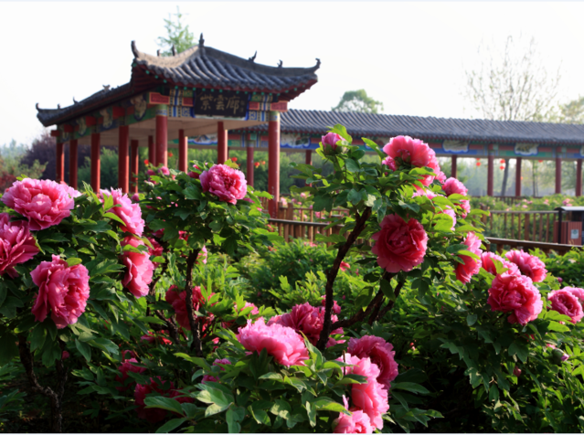 五一或迎爆发式出游5天假期你打算去哪玩儿